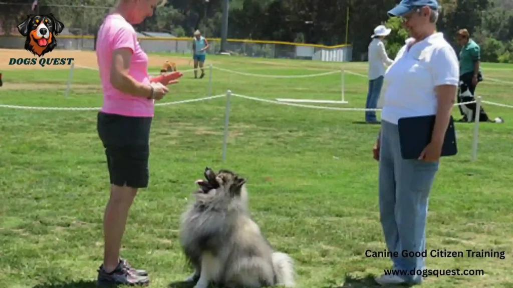 Canine Good Citizen Training