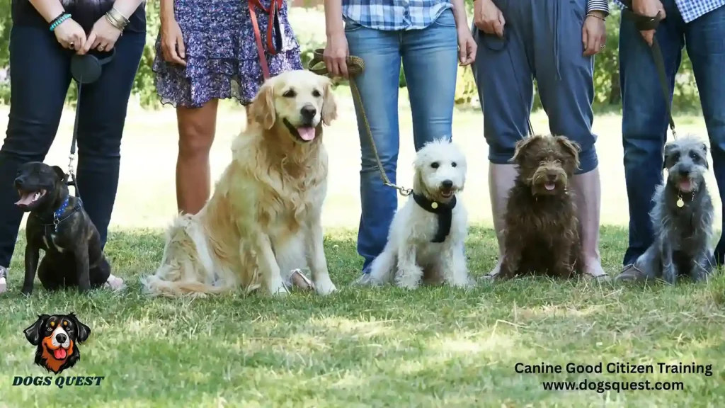 Canine Good Citizen Training