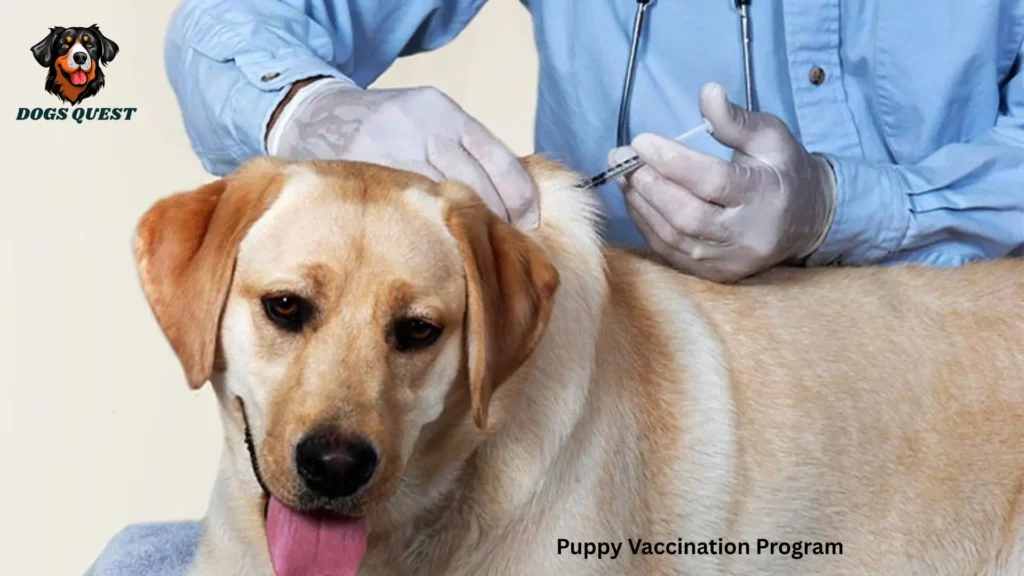 Puppy Vaccination Program