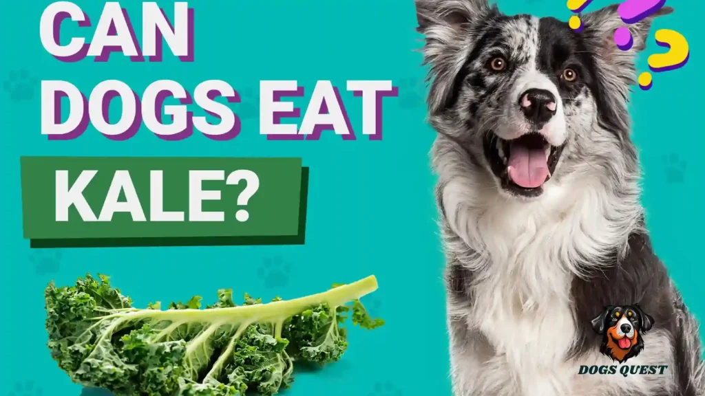 Can Dogs Eat Kale