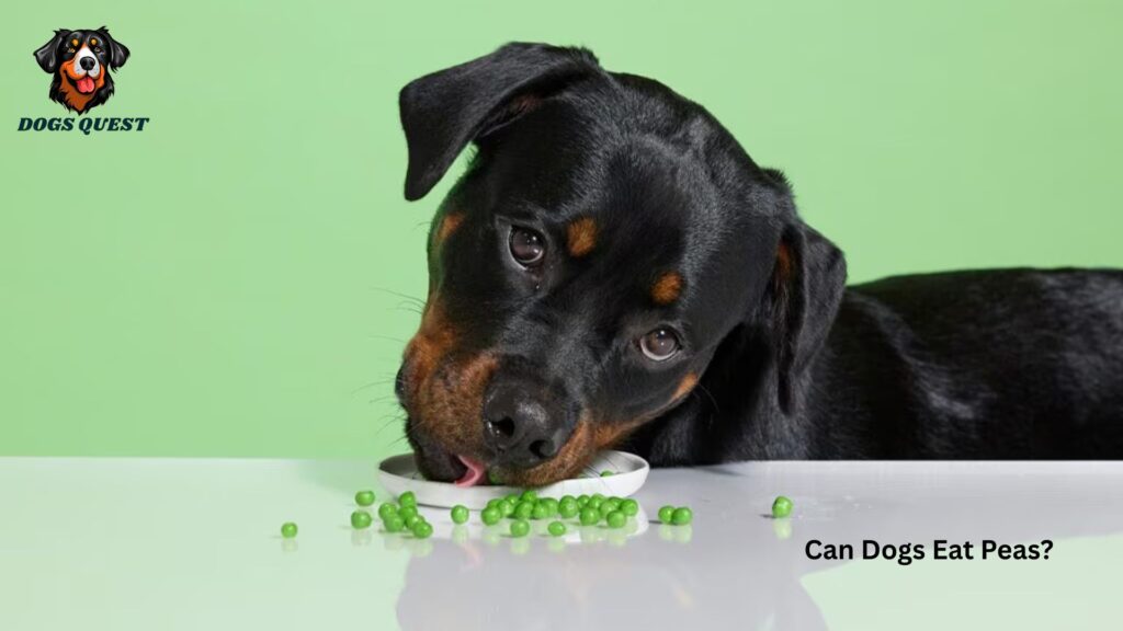 Can Dogs Eat Peas?