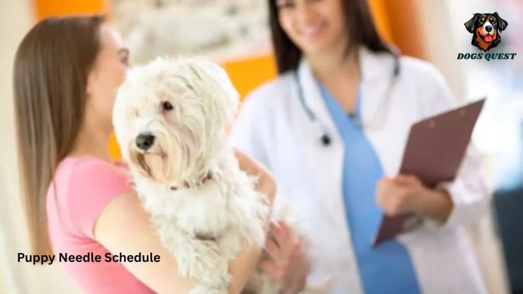 Puppy Needle Schedule
