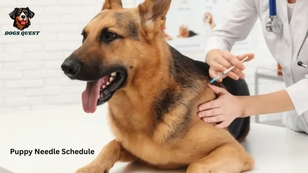 Puppy Needle Schedule