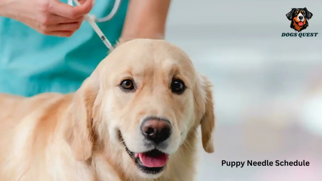 Puppy Needle Schedule