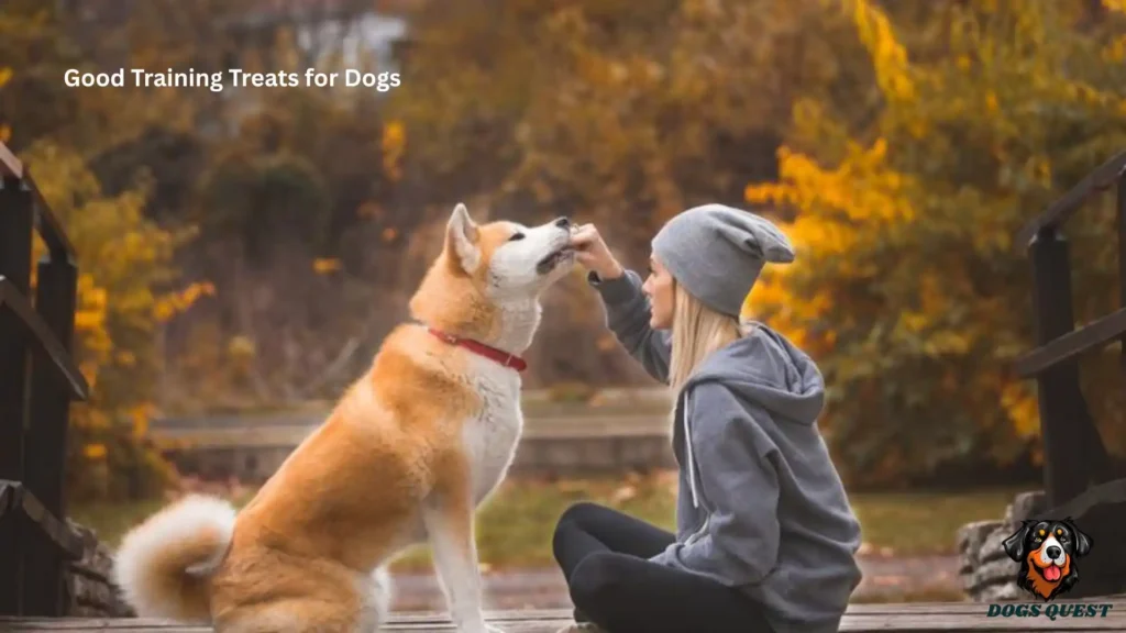 Good Training Treats for Dogs
