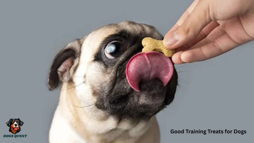 Good Training Treats for Dogs
