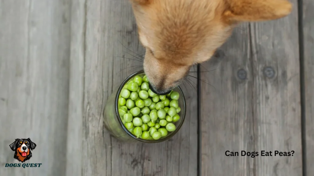 Can Dogs Eat Peas?