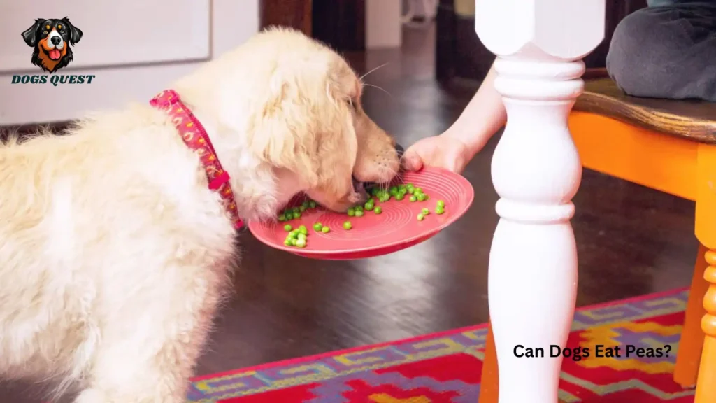 Can Dogs Eat Peas?