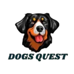 dogsquest.com logo