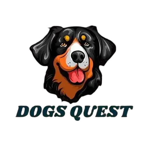 Dogs Quest
