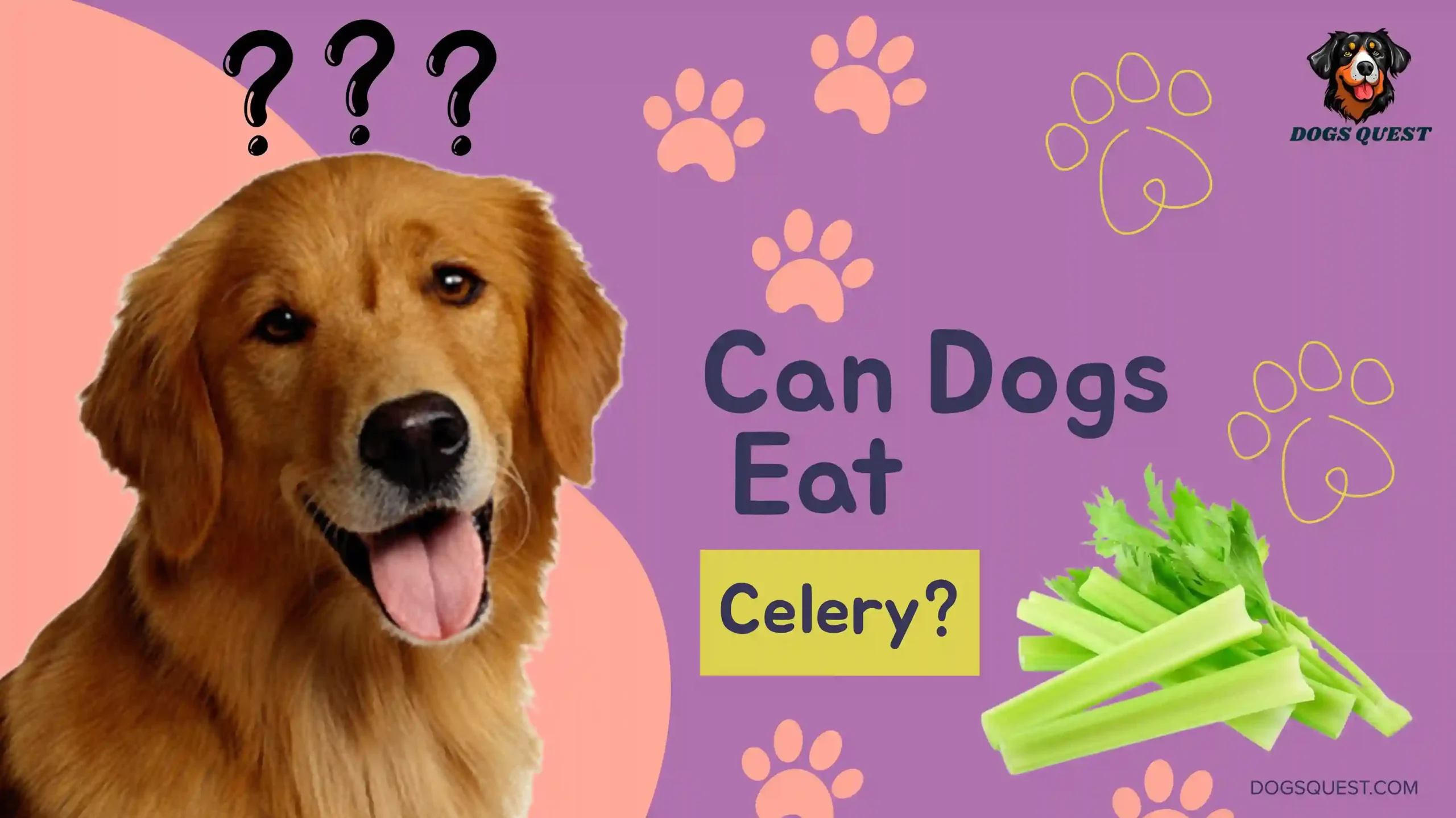 Can Dogs Eat Celery?