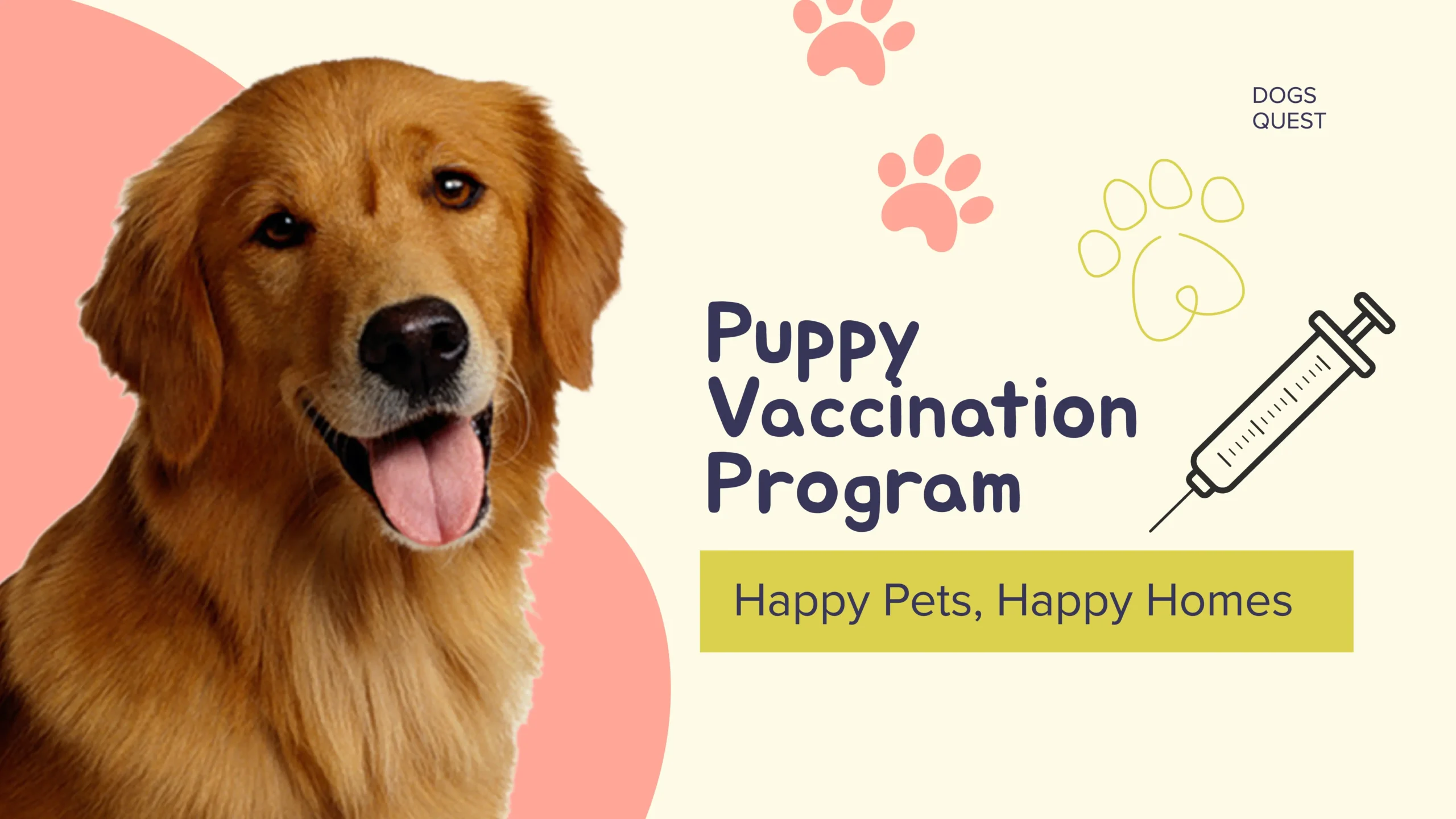 Puppy Vaccination Program