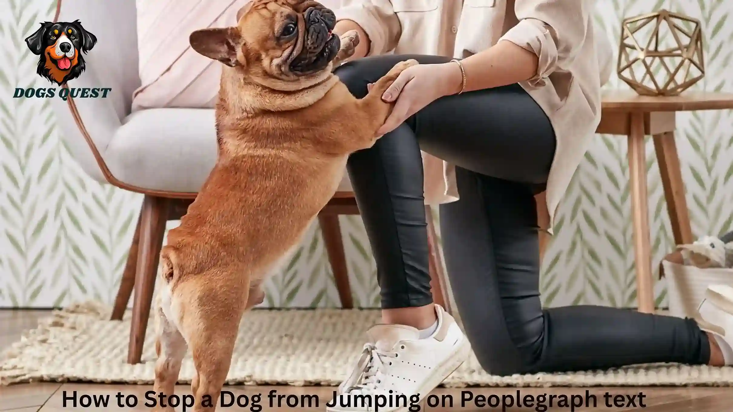 How to Stop a Dog from Jumping on People
