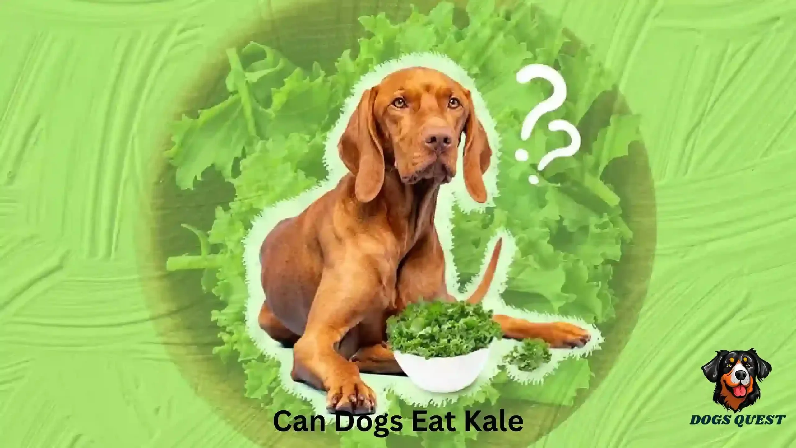 Can Dogs Eat Kale