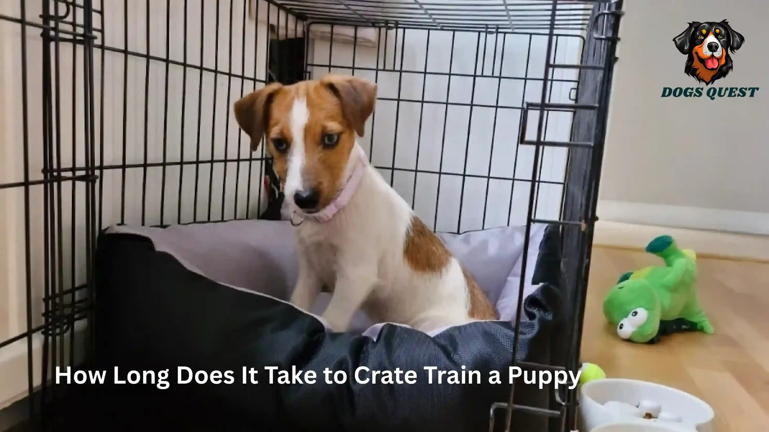 How Long Does It Take to Crate Train a Puppy