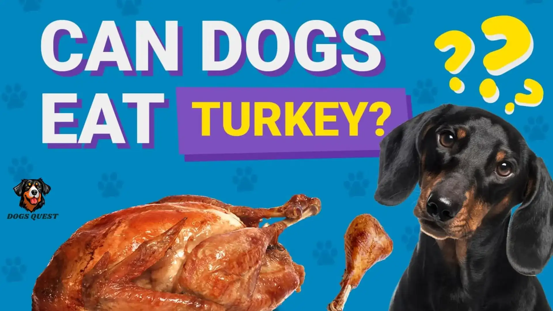 Can Dogs Eat Turkey
