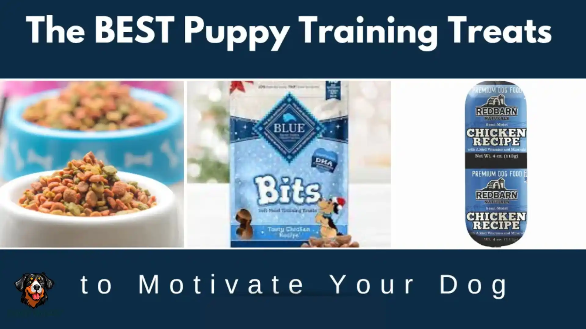 Good Training Treats for Dogs