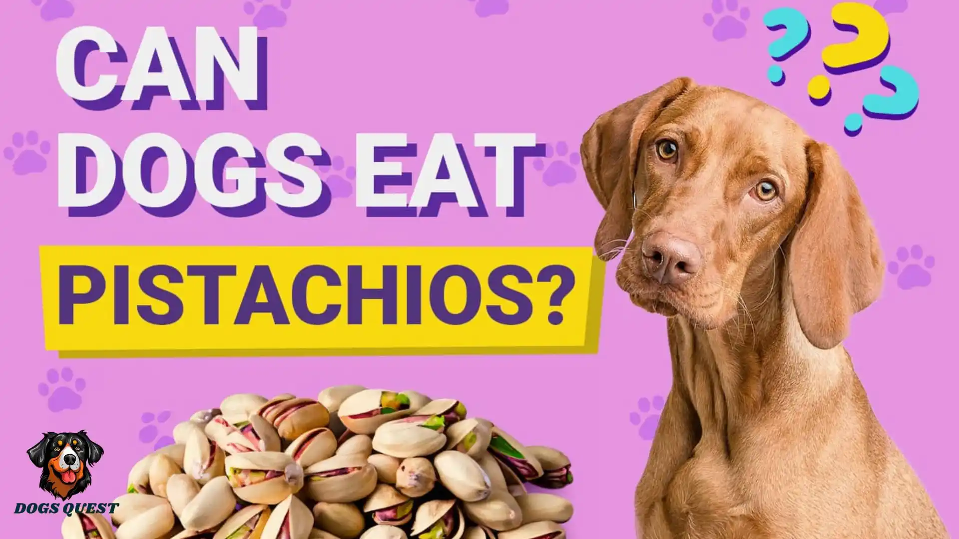Can dogs eat pistachios?